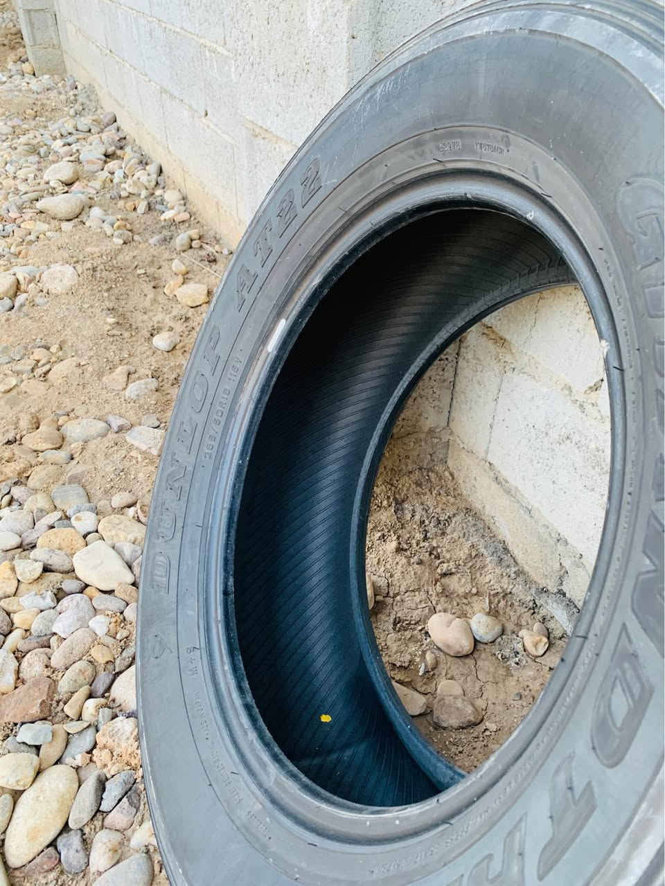 انتاج 2022 جدد عمر 90‎%‎ اخو جديد 
*********** المدينة, البصرة
