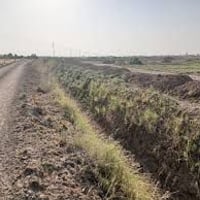 كاع زراعيه في قرية آل حميد كل الخدمات بيه متوفره 25دونم تصال ع رقم ‏‪0...