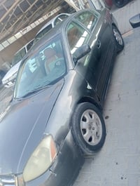 نيسان التيمه • ٢٠٠٥ • النجف الاشرف
