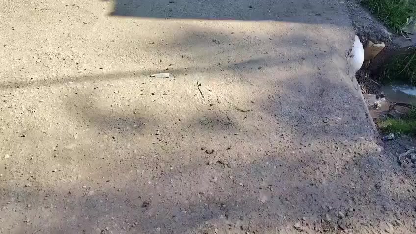 يالله بيت البيع ١٥٠ متر قاطين شارع ابو الثلاجت مقابيل المركز  ببت يخبل والي احله منلبيت جيرانه ناس معدلين  ***********
