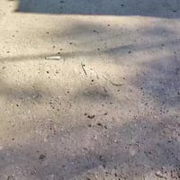 بيت للبيع • شارع ابو الثلاجت • ١٥٠م