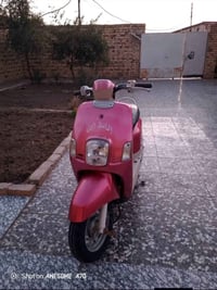 بوليس • شلعه • بوشه49