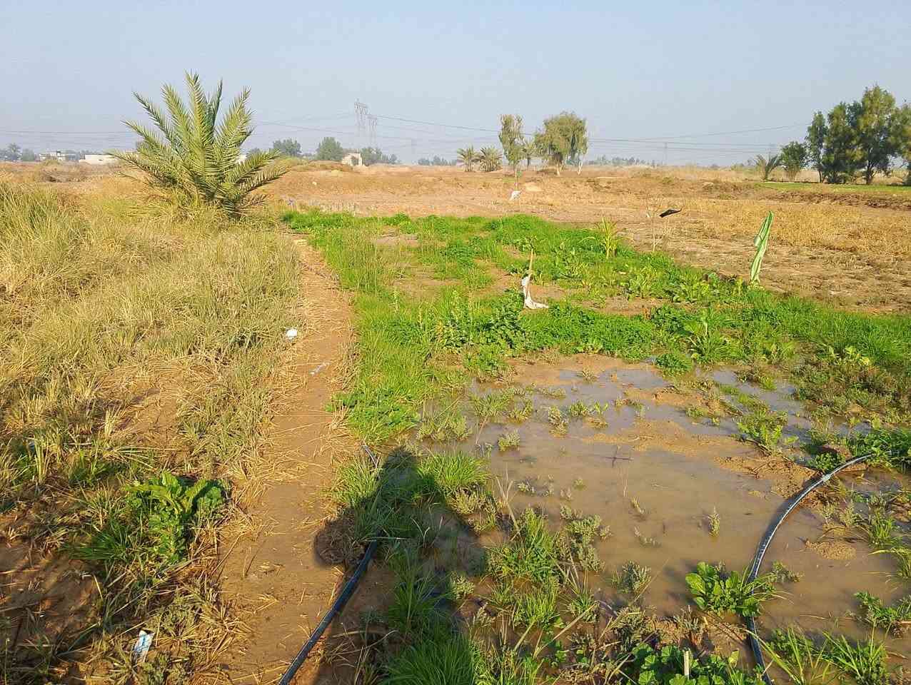 #اعلان
السلام عليكم
دونم مع دار للبيع السعر مناسب جدآ 
 كامل خدمات.  ماء. كهرباء. قريب عن  الشارع العام تقريبا 150متر. الدار مكون من.... غرفتين نوم.. صاله. وهول.. مطبخ.. استقبال...   الموقع الجزميه  طريق السياحي قرب مشروع الصب..  مدرسه ابو ايوب الانصاري
 
جنس العقار 117
 للأستفسار أكثر الاتصال 
‏‪***********‬‏📱
***********📱
او زيارة الرابط موقع المكتب
https://linktr.ee/0_osz0
