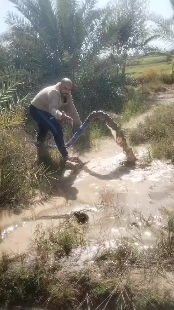 حفر ابار ***********
_________
حفر ///اليا  🚜
__ _______________________________
مستعدون لحفر الابار وثقوب الشوارع
 اليا🚜_ ويدوي🚹
 {وتسريب مياه الامطار والمخازن}
 في كل محافظات العراق
 بأنسب الاسعار
 شغل مضمون100% 
للأستفسار..
《راسل الصفحه او اتصل على الأرقام》↘️
●●●●●●●
0782 386 7066
