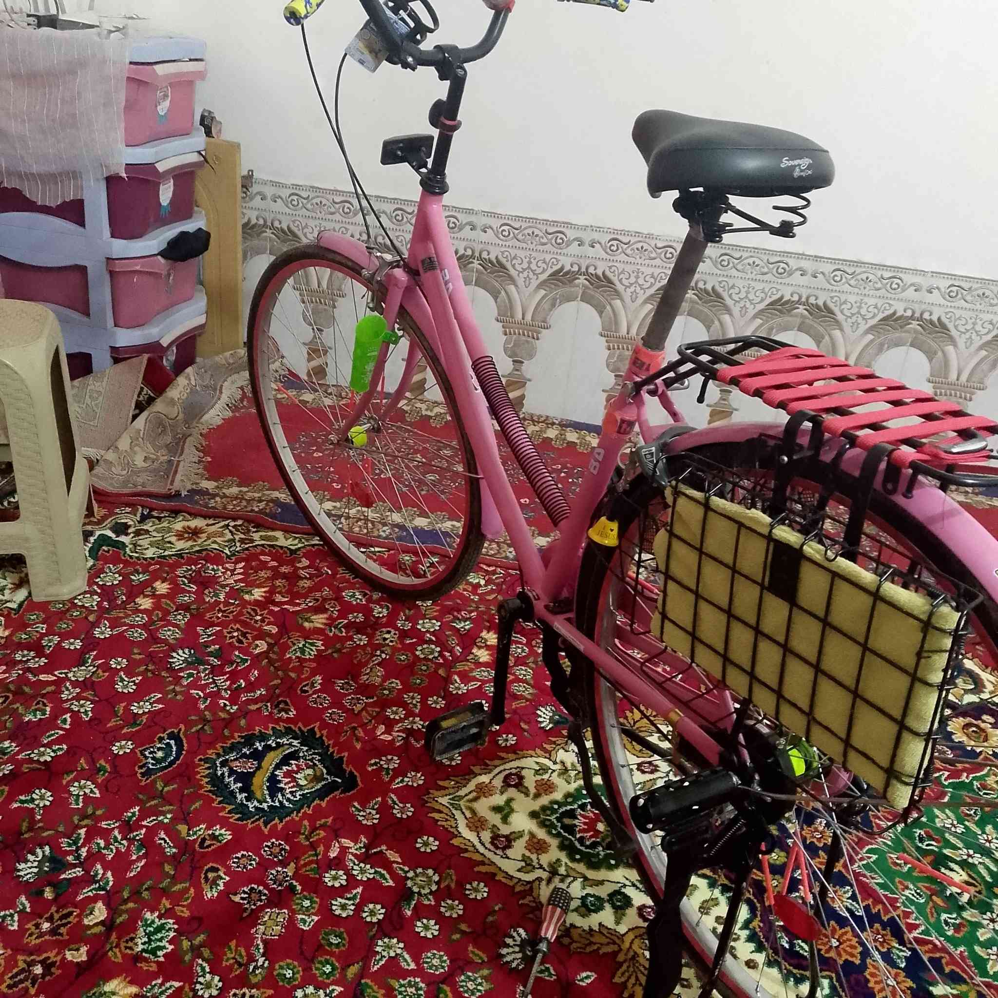 السلام عليكم باسكل للبيع نضيف كلش و جديد العنوان نجف ابو صخير للاستفسار واتساب 
***********
