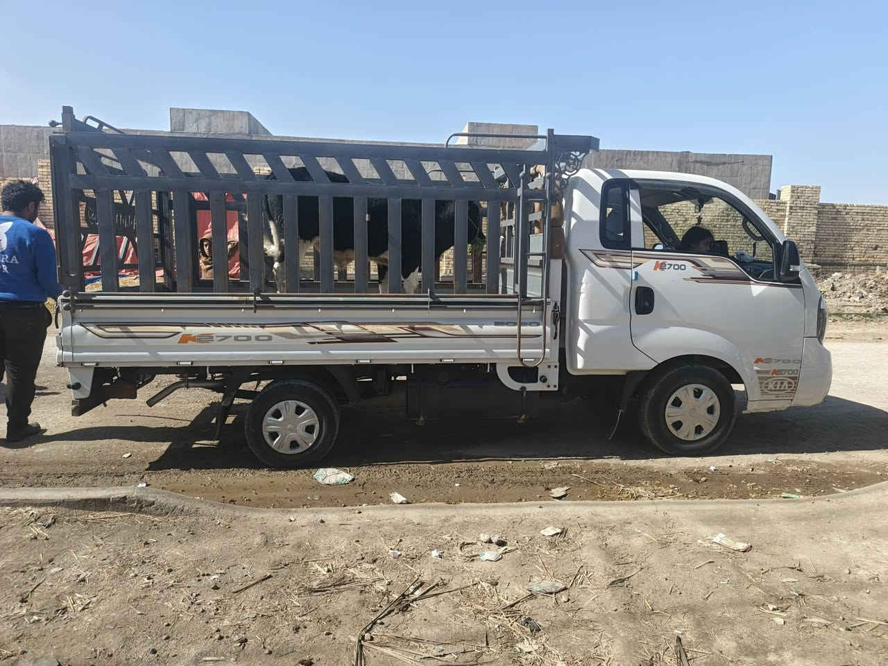 ‏‪***********‬‏تفاصيل اكثر داخل الفيديو سياره جاهزه
