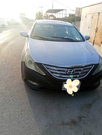 سوناتا ٢٠١٢ • فول • رقم اربيل