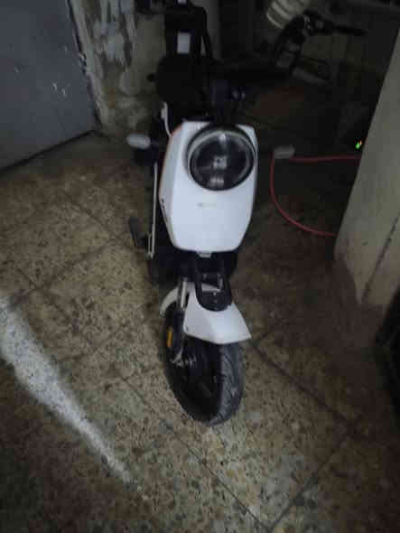 دراجه شحن البيع سعر 270 وبي مجال مكاني بغداد حريه دوالعي رقمي *********** واتساب موجود دراجه اي نقص مابيهه بس نقص سله دراجه اي عطل مابيهه و ال مو شراي لا يتعبني
