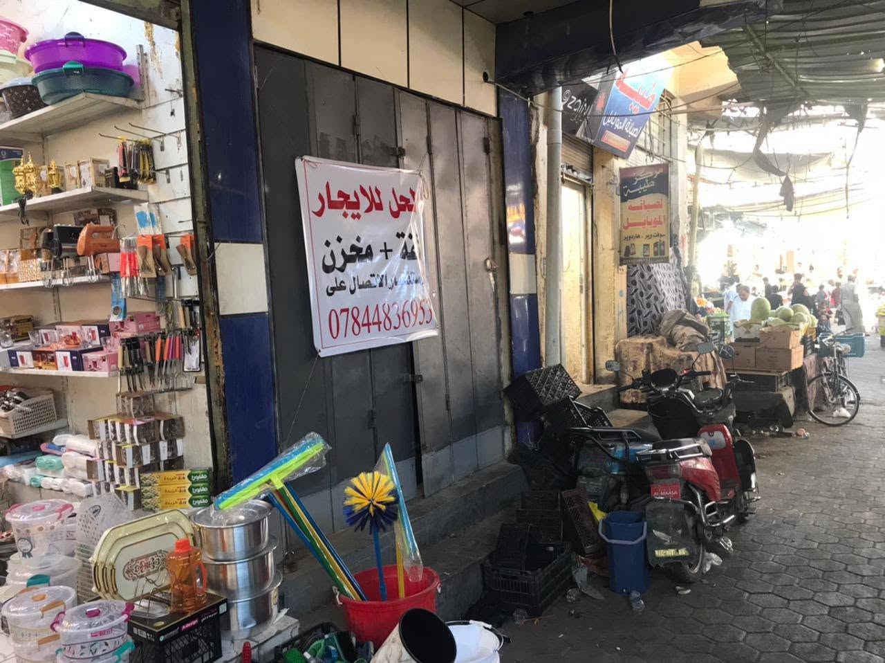مكلف بالنشر
