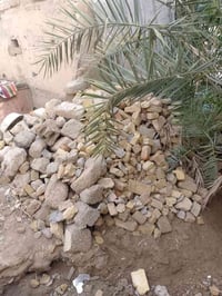 الرفاعي • بلاش • ٣ عرباين