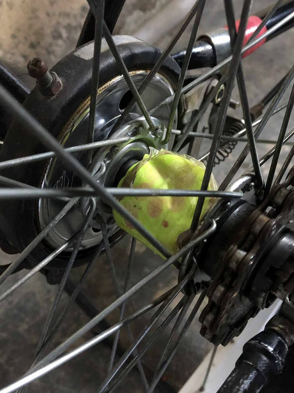 للبيع او مراوس حسب قناعه مكان كركوك فقط سعرر 100 بي مجال جامرلغات غراض كاامل


**إذا كنت صاحب هذا الإعلان وتريد حذفه لأي سبب، رجاءا أرسل رسالة إلى الدعم الفني**