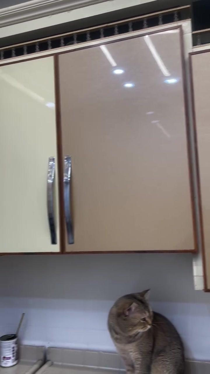 كاونتر ٧مترات  للبيع


**إذا كنت صاحب هذا الإعلان وتريد حذفه لأي سبب، رجاءا أرسل رسالة إلى الدعم الفني**