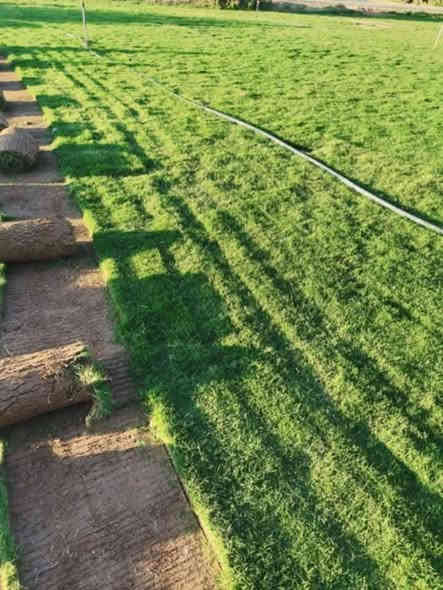 باسعار ثيل ديالى الطبيعي 🏡
أهلاً بكم في مجموعه مزارع ديالى لثيل الهندي الطبيعي 🌿🌱
 نقدم لكم افضل انوع الثيل الطبيعي عالي الجوده يتحمل كافه الضروف البيئية.🌦️🌞
دائم الخضرة🌿🌳 وباسعار تنافسيه ☘️❤️
#مستعدون لتجهيز وفرش الحدائق🏡 ودوائر الدولة🏡والمنازل🏡🏡
و تجهيز الملاعب🏟️ والمنتزهات الجودة العالية في العمل👷👷

مع خدمة التوصيل خلال24ساعه🚛🚛
الاسعار 💵💸 تختلف حسب الكمية 
للاستفسار الاتصال على : 
او التواصل مع الصفحه عن طريق ارسال رسالة على الوتساب ‏‪***********
