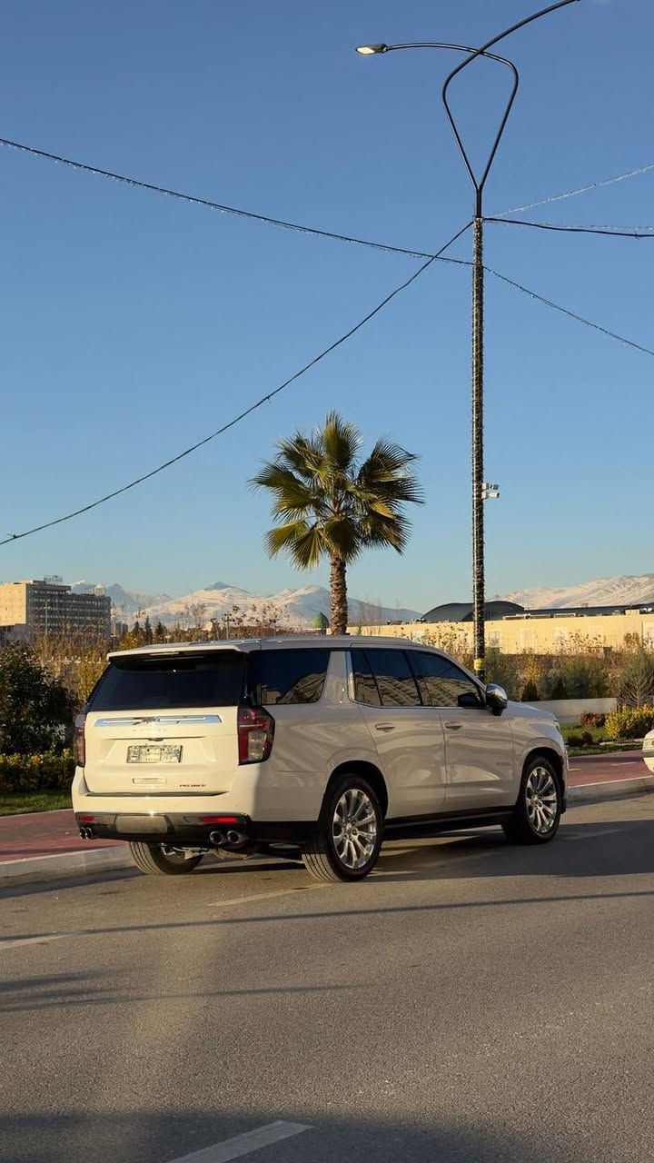 تاهۆ ٢٠٢٢

بۆ زانینی نرخ 
لایکی پەیج بکە و کۆمێت بکە نرخت پێدەگات 

پریمەر
ڕۆشتن: ٩٠،٠٠٠کم
ڕەنگ: سپی صدف
تایبەتمەندی: پریمەر (قەپات مواسەفات)
بارەدۆخ:
بێ بۆیاخ بێ شوخت و سارد
گێڕ و مەکێنەی بەشەرت، زۆر تازە ماوەتەوە و تازە هەموو سێرڤسێکی بۆ کراوە.

لە سلێمانییە سەیارەکە

ژمارەی خاوەنی 
***********
