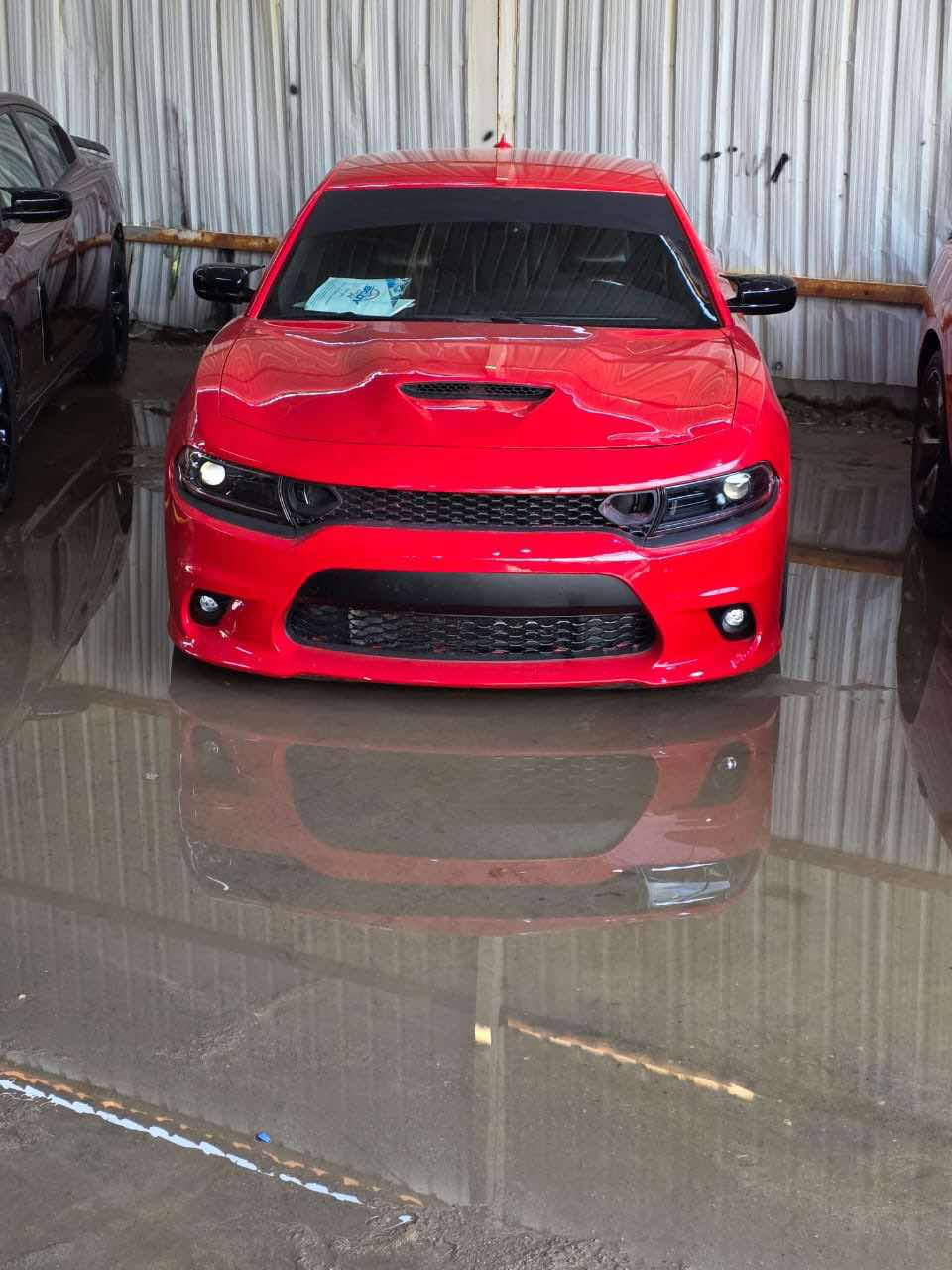 دوج جارجر 19 ارتي 5700 بغداد تبديل فقط دعاميه اماميه وبارد جاملغ ايمن والبنيد المقدمه بدون تبديل والسونار موجود 
عليه جوبلس
ودركه ار بي ام
وسقف روز رايز مع اربع ابواب لد
سوبر تراك باك 
حساس خلفي 
كامره خلفيه
كشنات كنتاره تبريد تتدفئه
كلاصات حار بارد
وباقي مواصفات الجارجر 
*********** 
السعر 240$
