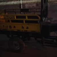 ستوتة • ديوان • ٢٠١٤