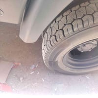 ملات فحل • حجم 13 • ٨٠٠٠ ماشيات