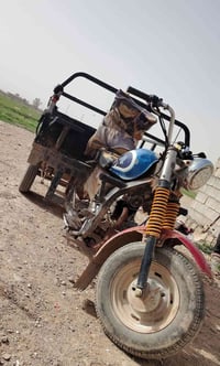 ستوتة • بدرة زرباطية