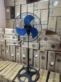 مفقود • جملة