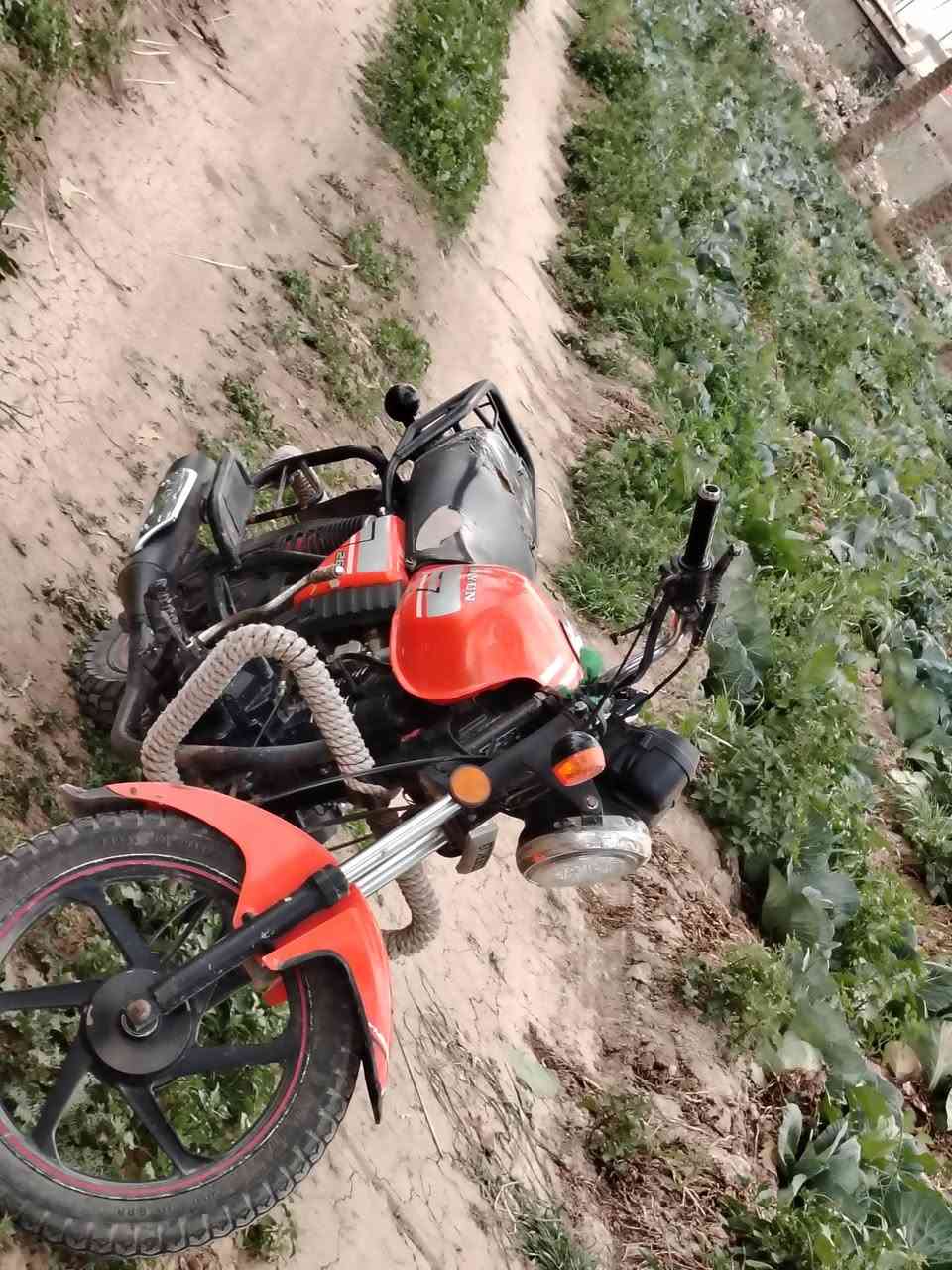 السلام عليكم دايون نفخ 21 سكنر محرك 150مفتوح بس كله درجة اولى يم البغدادي ما نقصه شي خير من الله مكاني بابل مشروع المسيب سعره 950-***********
