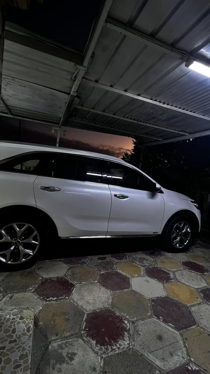 سورنتو 2017 خليجي 
اللون صدفي 
بنظام الدفع الرباعي (AWD) 
فول مواصفات
 سبعه راكب 6 سلندر 
مكفوله كفاله عامه 
صار بيها حادث باب السايق تبدل الباب وكالة خليجي 
. سياره نظيفة ثلاث  قطع تبريد تحكم ستيرن بصمه مري شفط السياره ماشيه 150 الف رقم السياره بغداد. الرقم للاستفسار ***********
