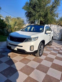 ٢٠١٣ • ٦ سلندر • ٧ راكب