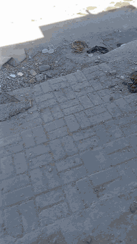 الحميديه • ١٠٠م • جاهز ونظيف