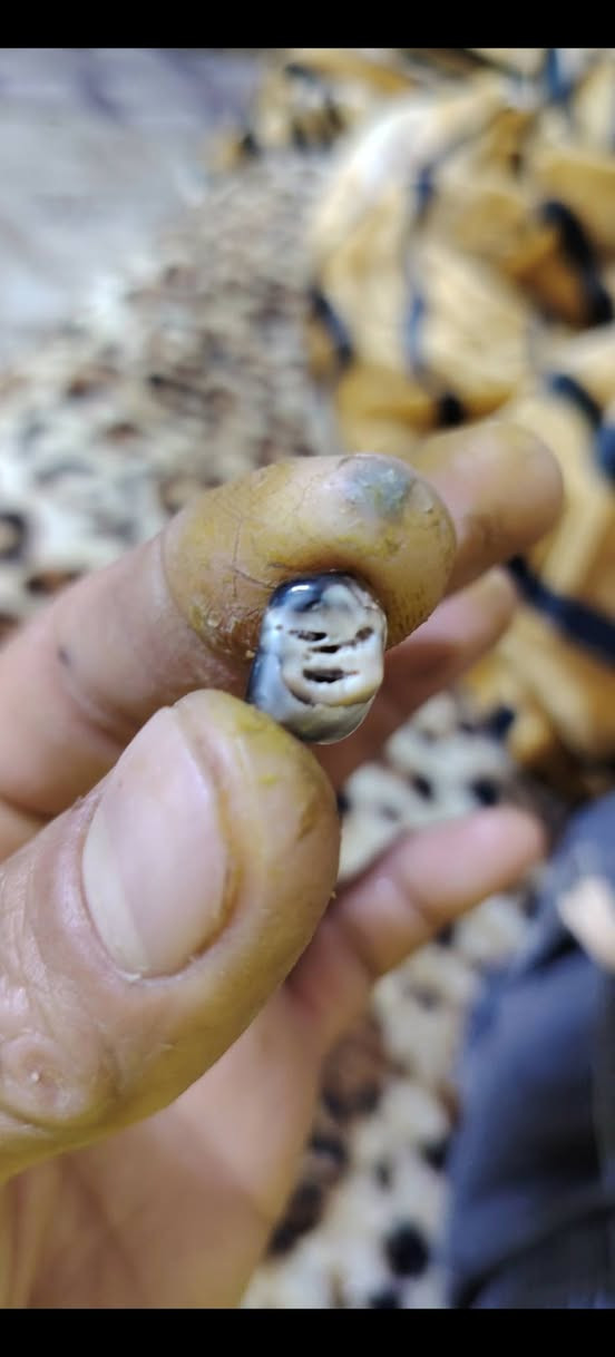 عقيق مصور للبيع تريد بس حجر تريد كامله


**إذا كنت صاحب هذا الإعلان وتريد حذفه لأي سبب، رجاءا أرسل رسالة إلى الدعم الفني**