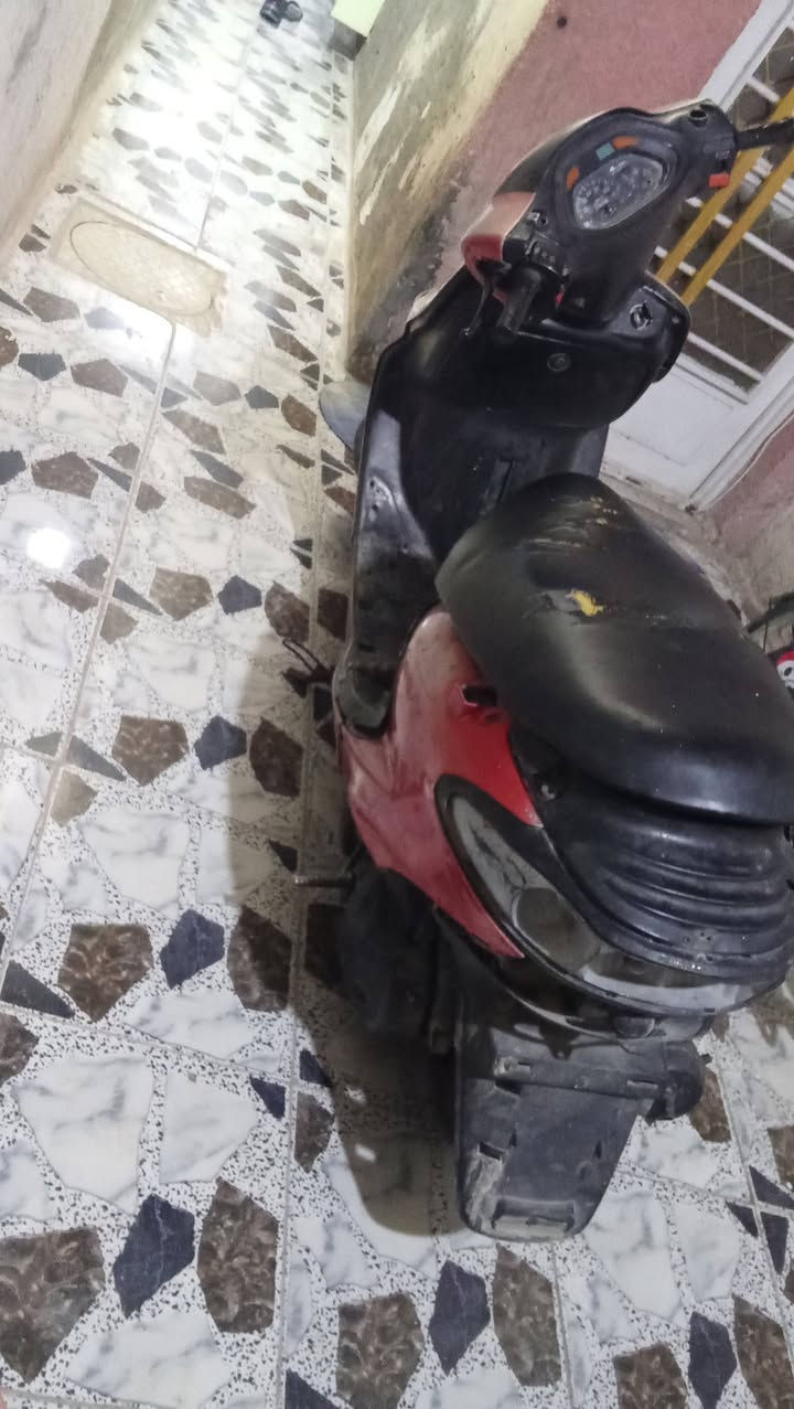 دولفين شغاله هندر يرادله ترتيبات جانت متروكه مكان بغداد الشعب السعر 175
*********** واتساب
