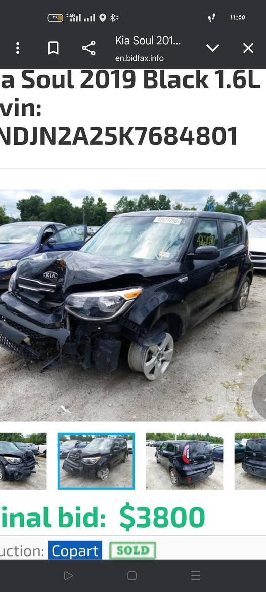 صول 2019 بنيد بلادي وباب سكن صبغ ***********
