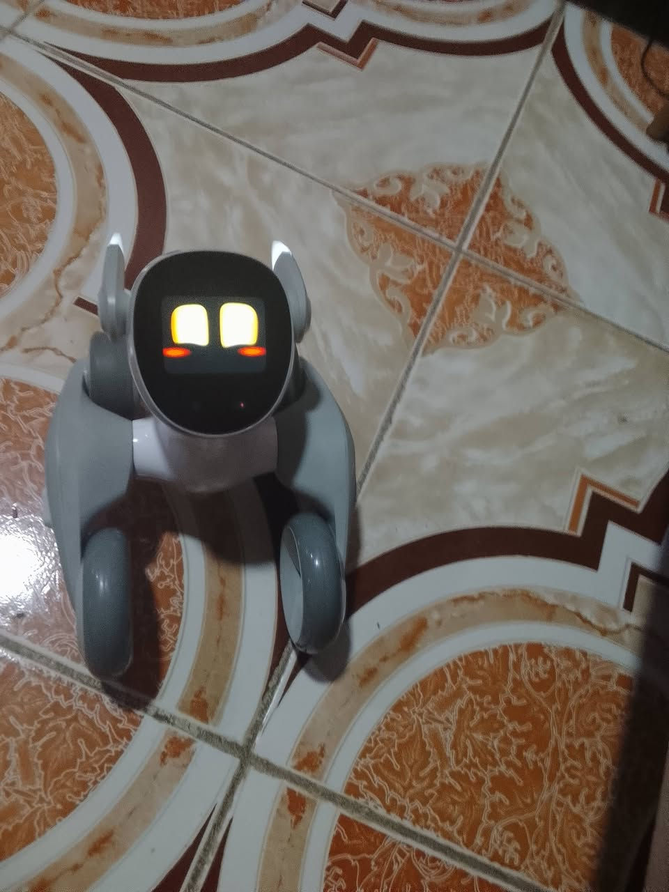 روبوت لونا جديد بالكرتون استعمال خفيف جدا للبيع مراسلة الصفحه او واتس اب ***********
