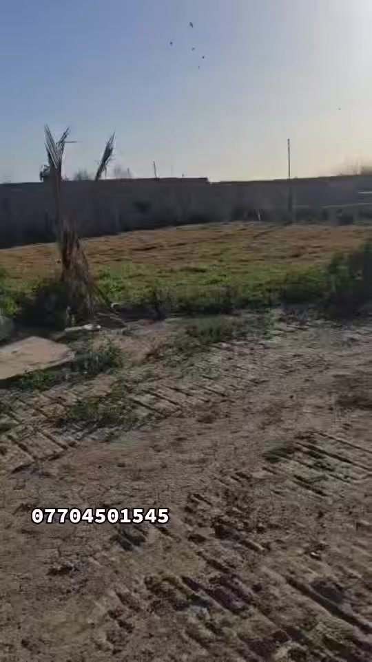 فرصه استثماريه
مزرعه للبيع سلمان باك صطيح 

المساحه دونم العرض ٢٥م والنزال ١٠٠
تحتوي على بناء سندويج 
صاله وغرفة نوم ومطبخ وحمام غربي داخلي وحمام شرقي خارجي
مؤثثه بالكامل تخم قنفات 
سبالت عدد ٢ 
ثلاجه
كاونتر 
براد
مغسله
مسبح شبه كامل 
ماء من الشط غطاس 
كهرباء كامل 
ديكور داخلي بنكات وثريات 
تانكي ماء خارجي ماطور ماء
حدائق عدد اثنين أشجار وثيل من ديالى
السعر 75مليون وبيها مجال للشراي 
***********
