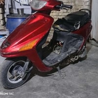 فراشة • شغالة • الشطرة