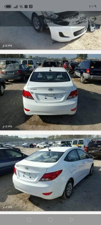 اكسنت • ٢٠١٥ • وارد امريكي