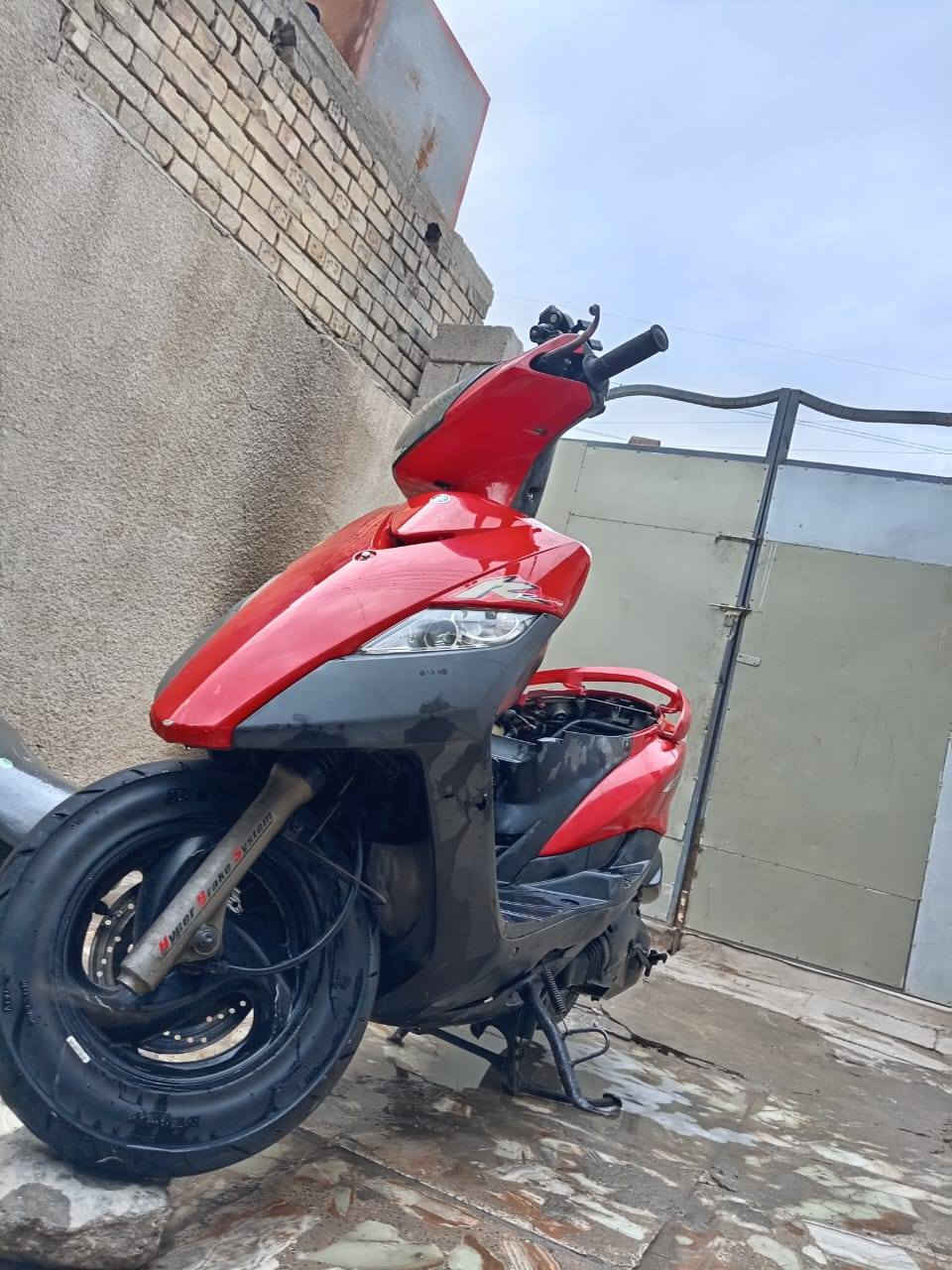 سلام عليكم ثعلب رنبه للبيع
*********** 🍃🦅      سعره ٨٥٠

مكاني مدينة الصدر يم علاوي ابو لبن
