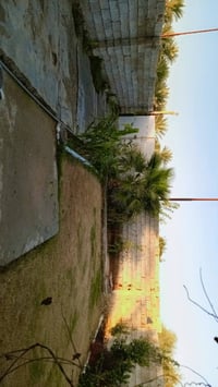 الكويت عقد ١٧ • ٣٢٠م • صالة مطبخ غرفة