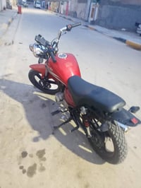 تايه برو • موديل ١٣ • أوراق أصلية