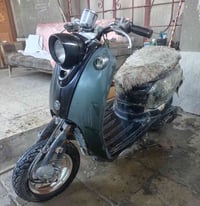 مصريه • شغاله • عوزه ترتيب