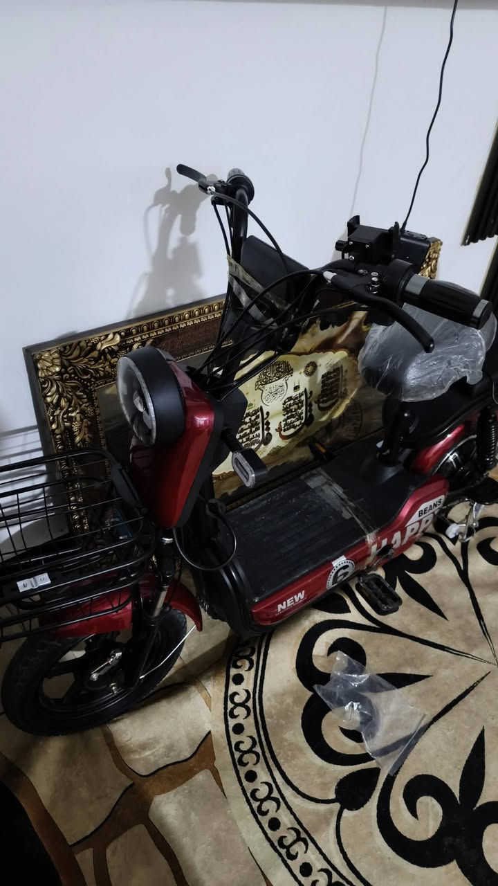 سلام عليكم دراجه شحن للبيع جديده بل جيس فتحتها من الكارتون وشديتها ونشرتها كفاله من كلشي للباب ما واصل بيها اريدها ب400 وبيها مجال للطيبين العنوان بصره جزيره شط العرب الرقم ***********
