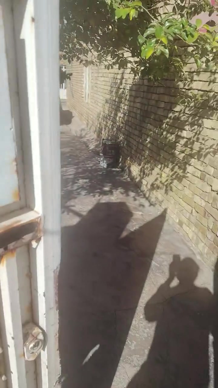 بيت مساحه كليه 500 متر
البيت 380 والمشتمل 120 
قريه الطبر قرب مدرسه الامام الكاظم توجد خدمات ماي مجاري كهرباء تبليط يوجد كافخه الخدمات مدارس محلات بأنواعها والبيت بحاله جيده جاهز للسكن علمأ المشتمل بيه صاله ومطبخ وغرفه وحمام
للاستفسار الاتصال:  ***********
