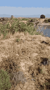 ارض زراعيه طابو ٣ونص دونم للبيع
سند ٢٥ 
طريق الموفقيه الحي 
باقي التفاصيل خاص او الاتصال بالرقم 
***********
