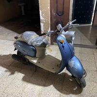 فينو • 175 • مجال