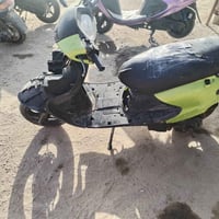 فراشة دولفين • معدل • القاسم