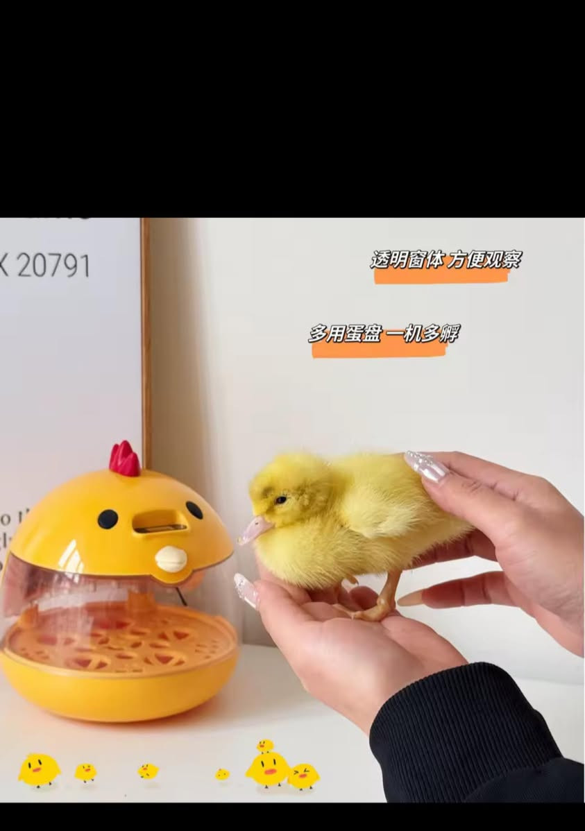 فقاسة 25الف


**إذا كنت صاحب هذا الإعلان وتريد حذفه لأي سبب، رجاءا أرسل رسالة إلى الدعم الفني**