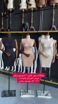 جديدة • جورجينا • مقاس ٢٤