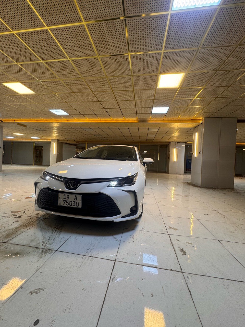 كربلاء كوله لبيع مشيه ربعين لف كفاله عامه سياره 