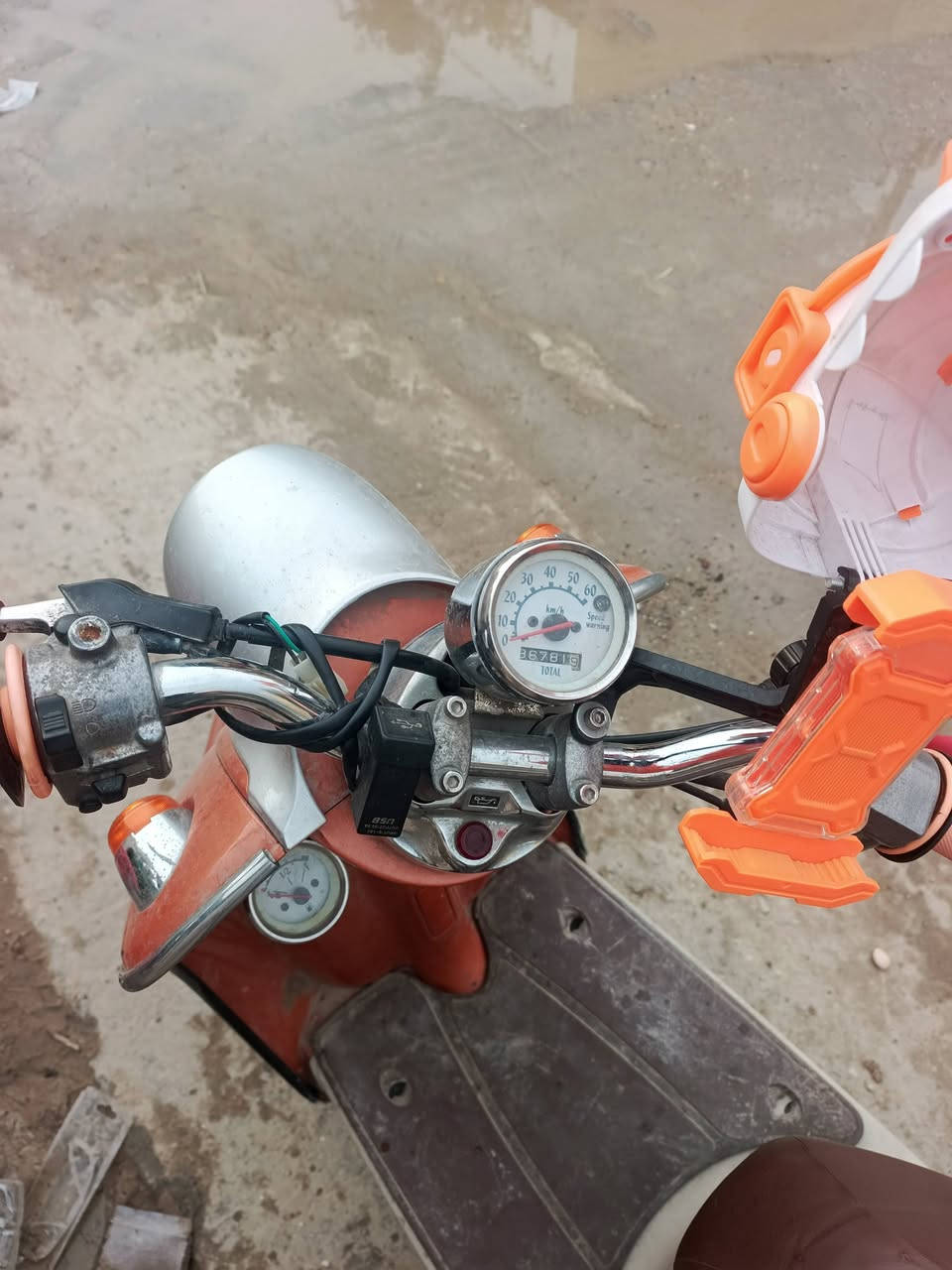 السلام عليكم مصريه فحل السعر 600 حاويه ما مفتوحه مكان الناصريه السريع ***********
