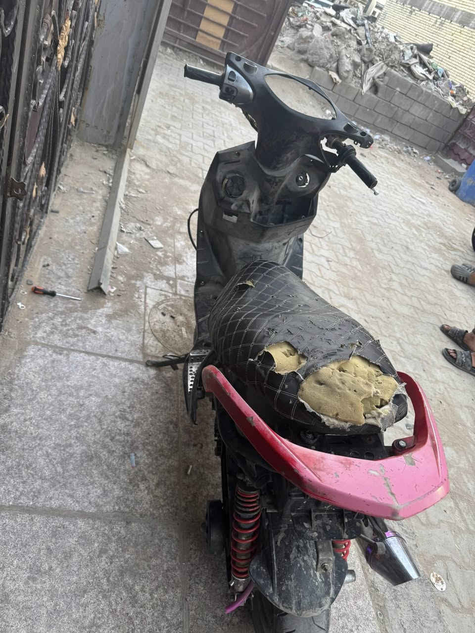 سكنس فحل للبيع مال لعب ب ٤٥٠ يرادلها ترتيب  مكينة جديدة 59 مكينتها  ***********
