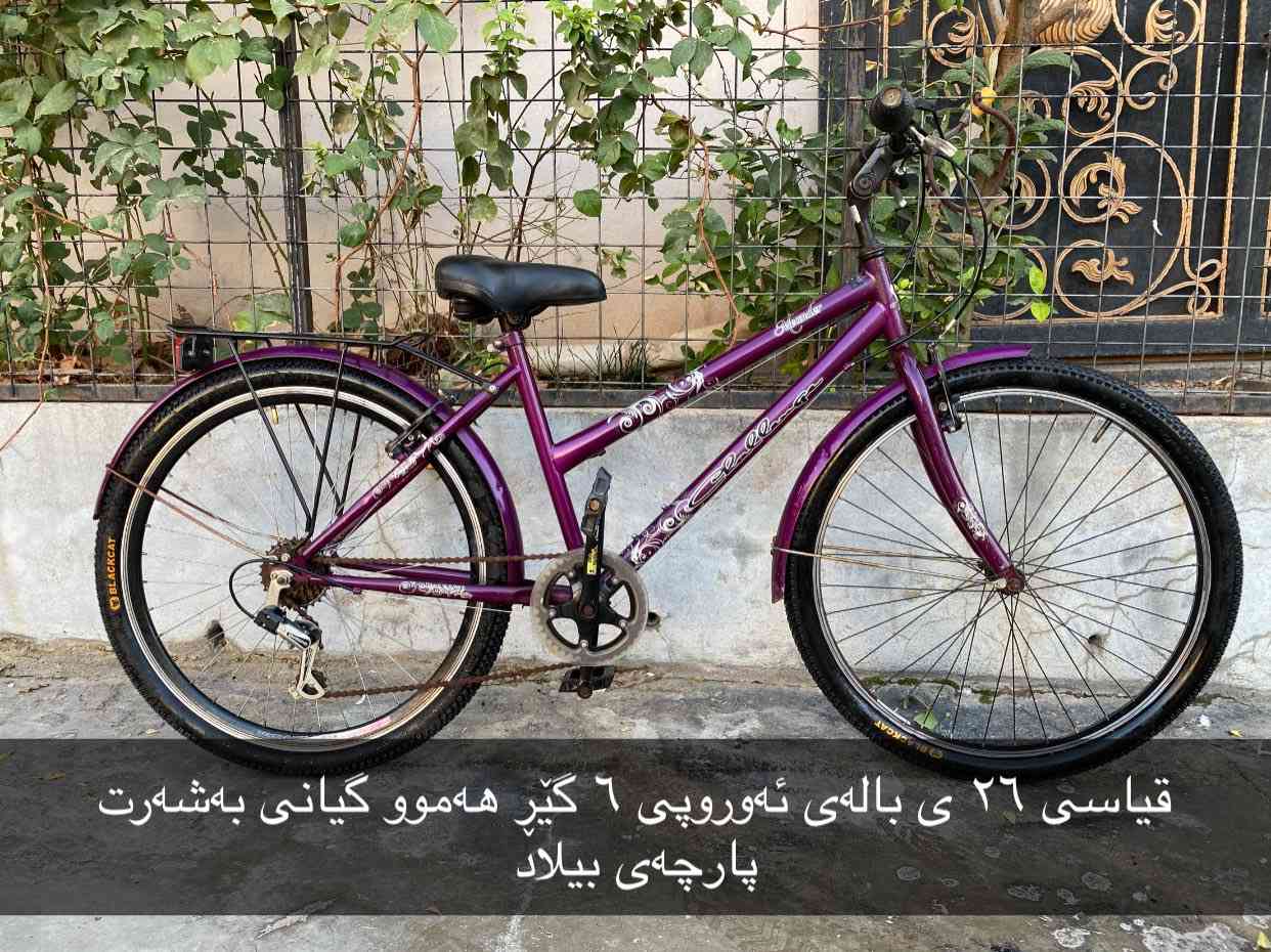 ئەم پاسکیلانە بۆ فرۆشتن زۆر زۆر تازەو جوانن هیچ عەیبێکیان نییەو هەموویان بەشەرت ئەفرۆشم قیاسیان ۱۲ ی ۱٦ ی ۲٠ ی ۲٤ ی ۲٦ ی ۲۸ ی نرخی هەرکامیانت ویست لەکۆمێنت یان مەسج داوای بکە هەموویان بێ عەیبنوو نرخیان زۆر گونجاوە
سلێمانی بەکرەجۆ
*********** ***********
