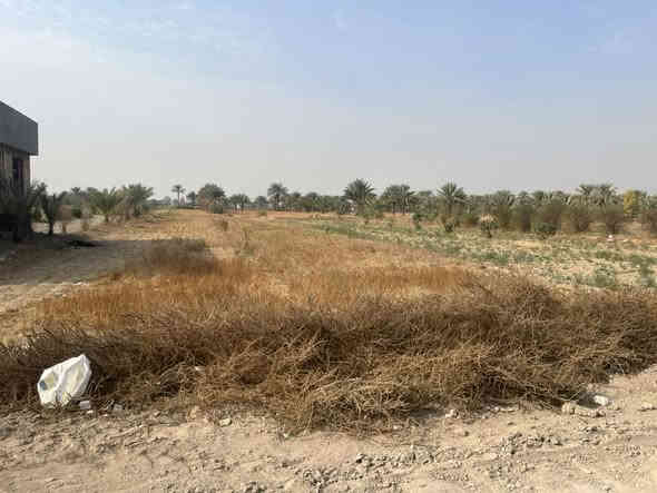 يا الله السلام عليكم دونم للبيع 
سند 25مداور مباشر بااسم المشتري دونم حلو وموجهه

يبعد عن الشارع الرابط بشارع 100 وشارع بزل حجي علي حوالي 500متر النزله تبليط مالته متوفر ماء وكهرباء 

الدونم يصلح سكن 🏡

ويصلح زراعه 

ويصلح مخزن 

شارع عرضه 14متر 

استسفار اكثر الاتصال على الرقم ***********

